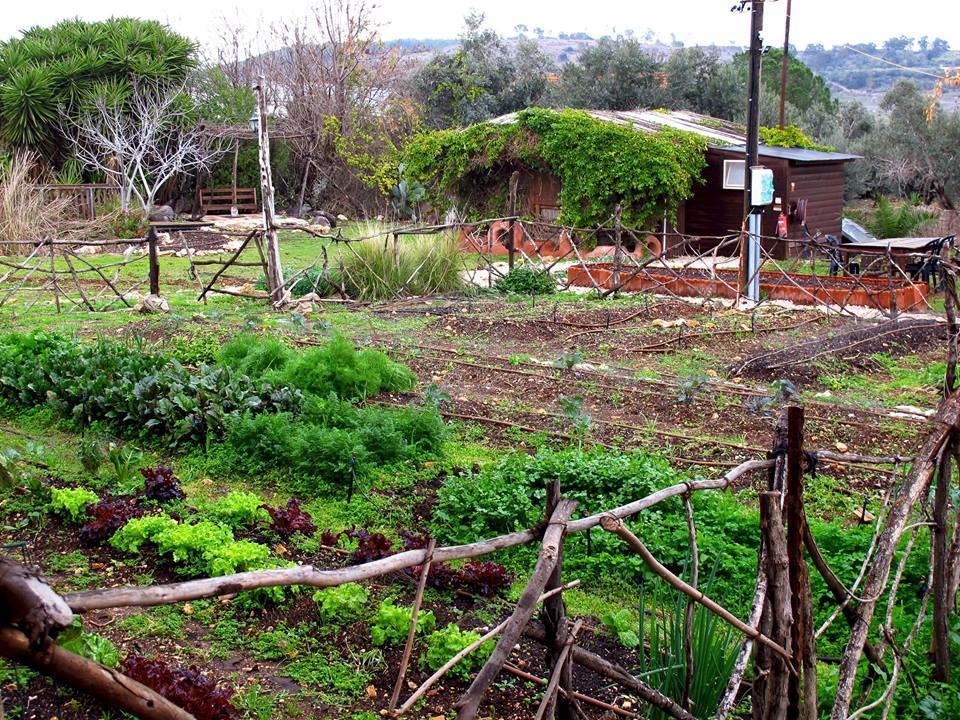Yarok Az - Ecolodge Farm Ilaniya Екстер'єр фото